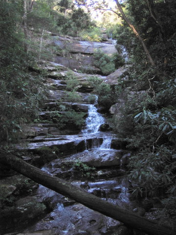 Girrakool and Piles Creek Loop