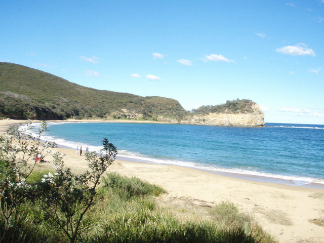 Maitland Bay to McMasters Beach via the Bouddi Coastal Walk