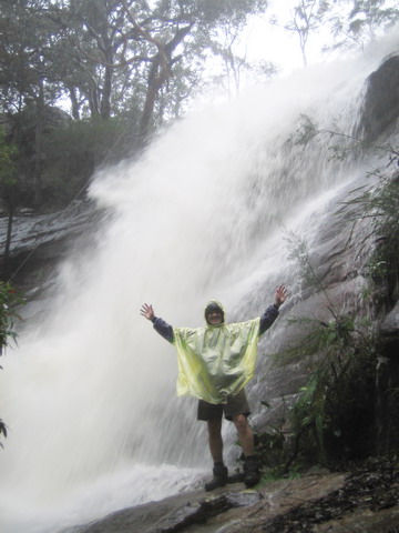 NSW Storms  - The Natural Disaster