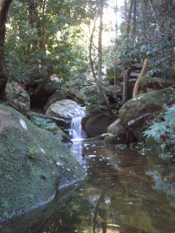 Bouldering at Pearl Beach waterfalls, and then getting lost in the bush!