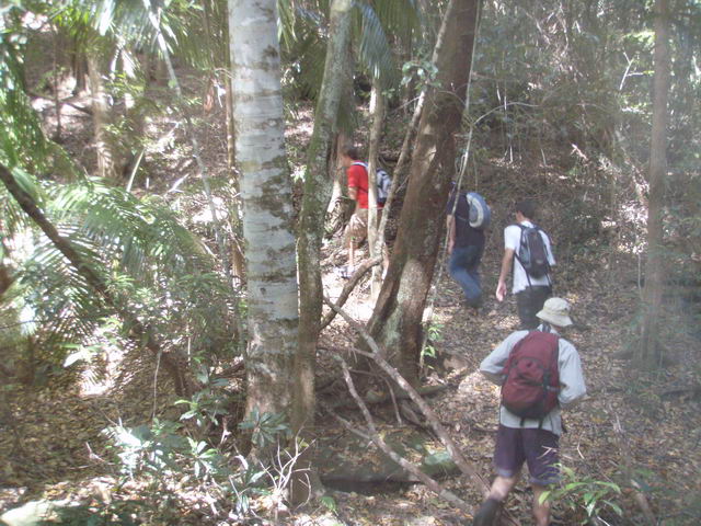 Watagan State Forest Abbotts Falls
